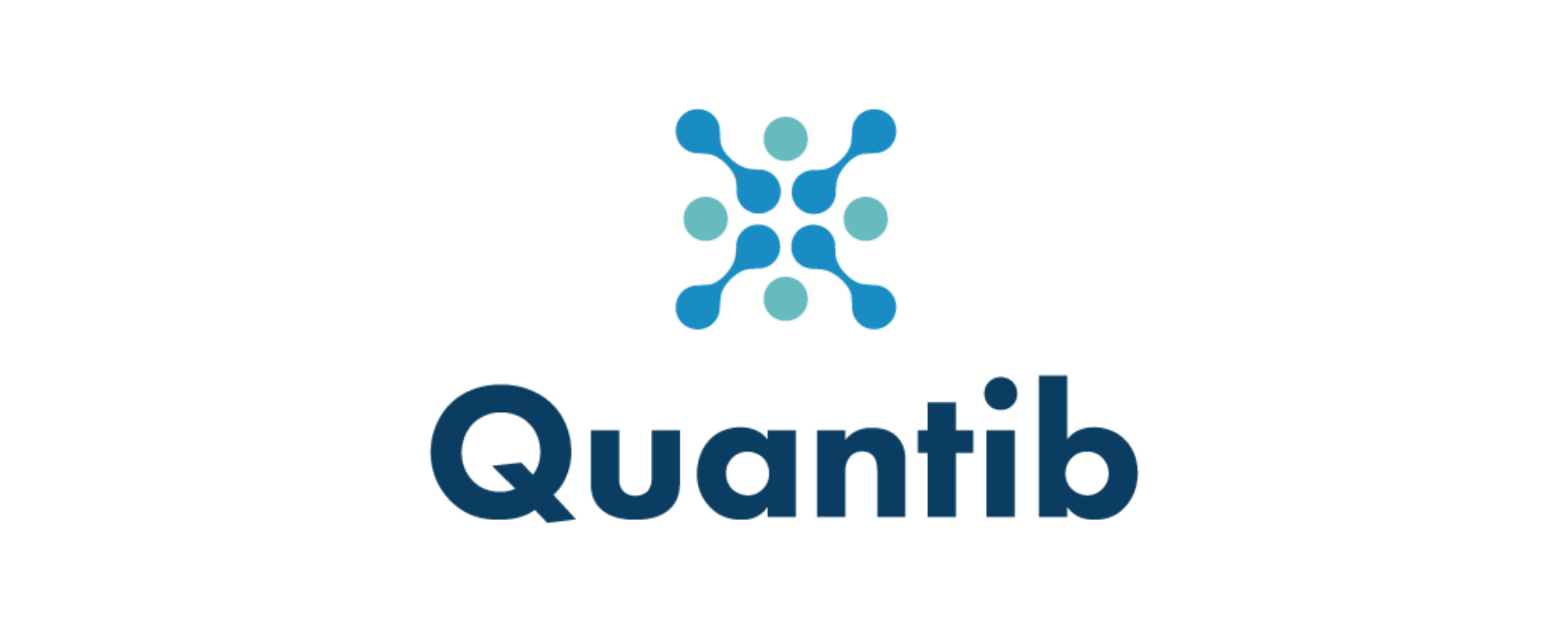 Quantib Prostate logo