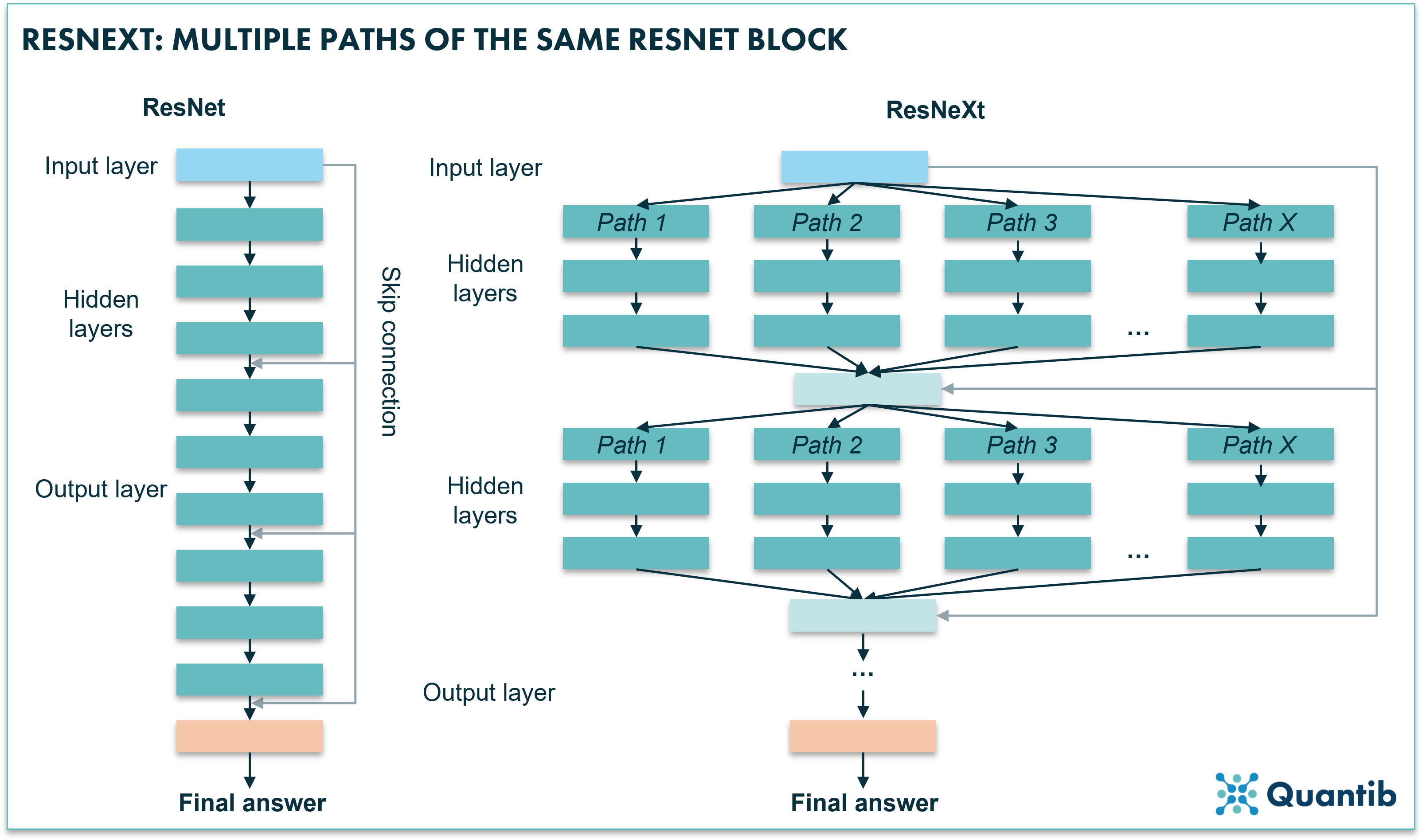 ResNeXt: Multiple paths of the same ResNet block