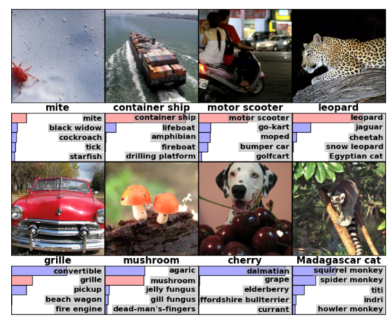 results of the ImageNet registration challenge