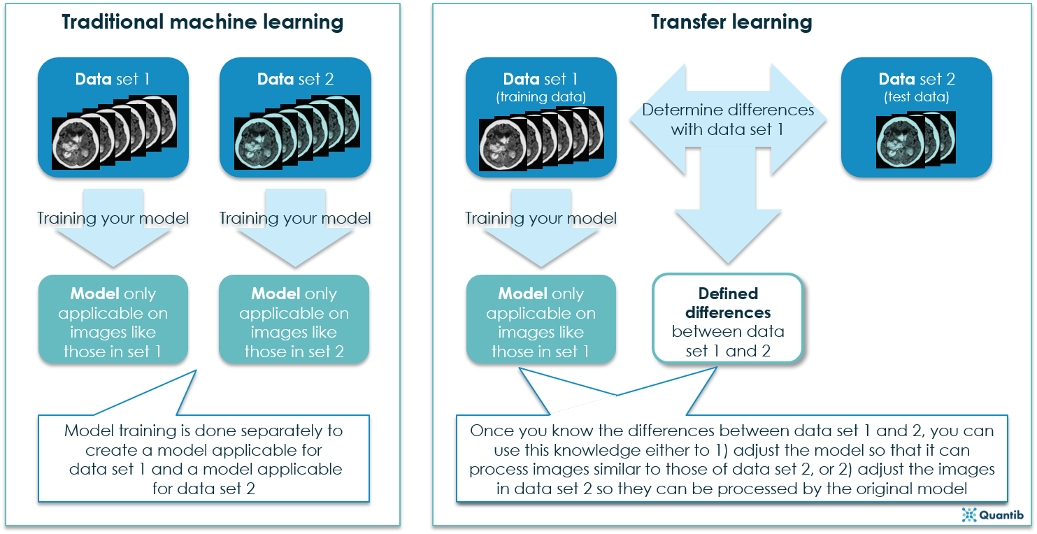 radiology AI in medical image segmentation