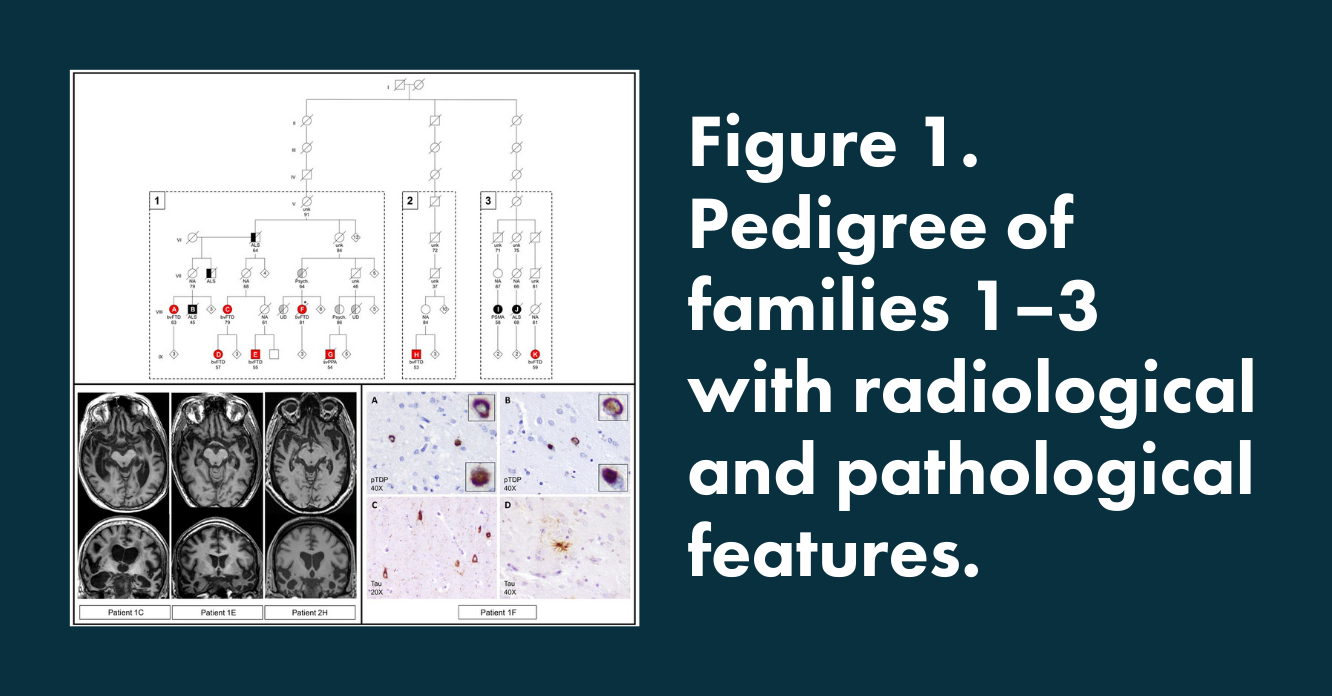Thumbnails - scientific resources - Mol et al. 
