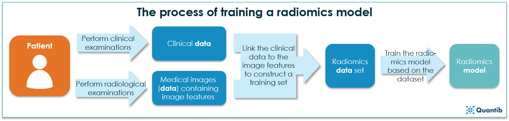 schematic example of the process of training a radiomics model
