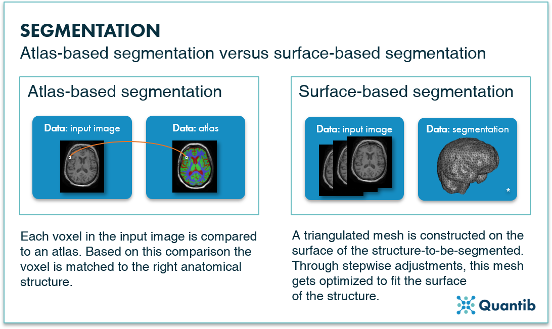 determining hippocampal volume using atlas-based segmentation vs surface-based segmentation on brain MRI scans