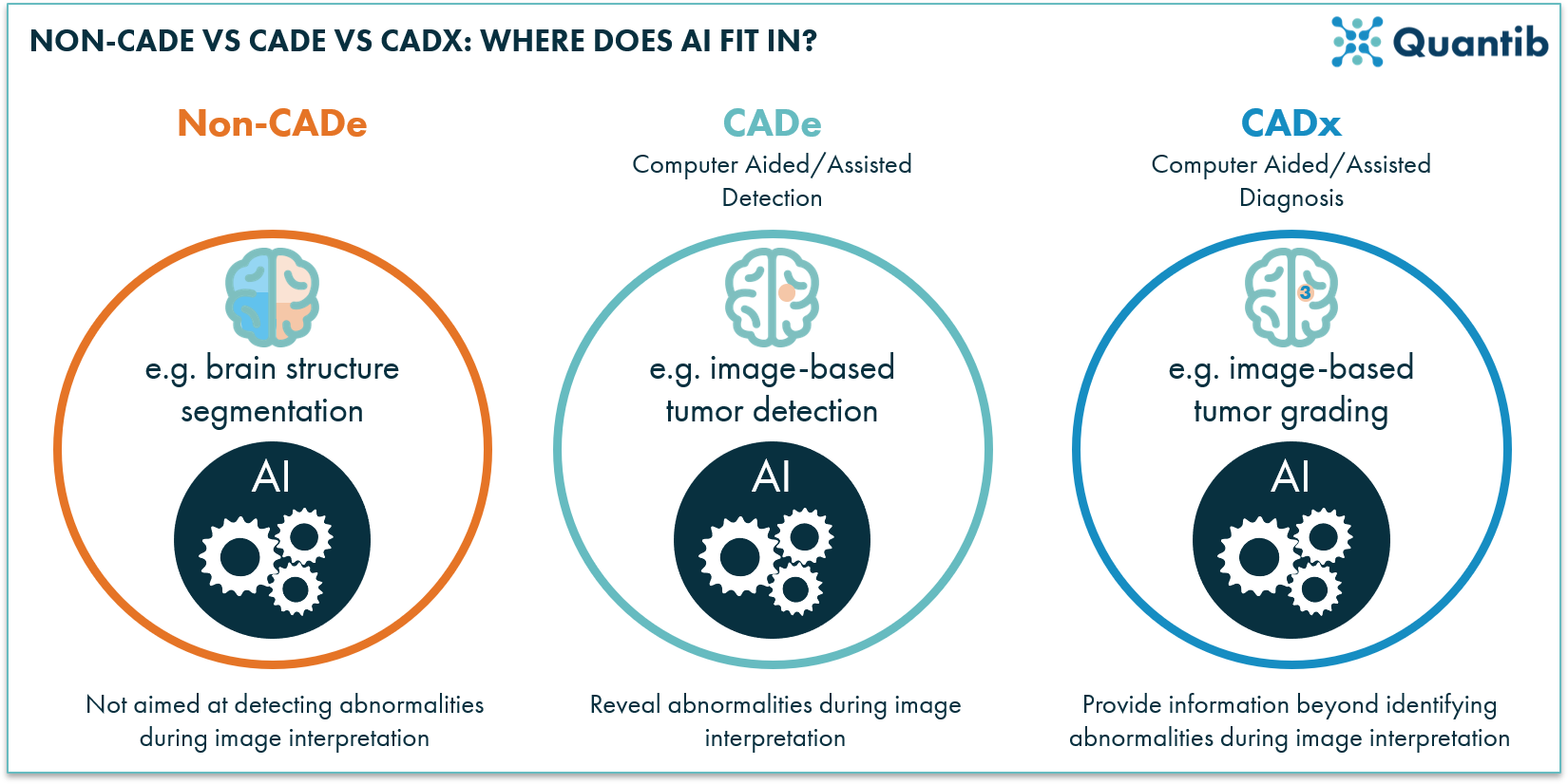 schematic figure explaining AI radiology software divided over the categories non-CADe, CADe, CADx