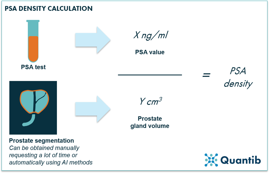 volume prostate