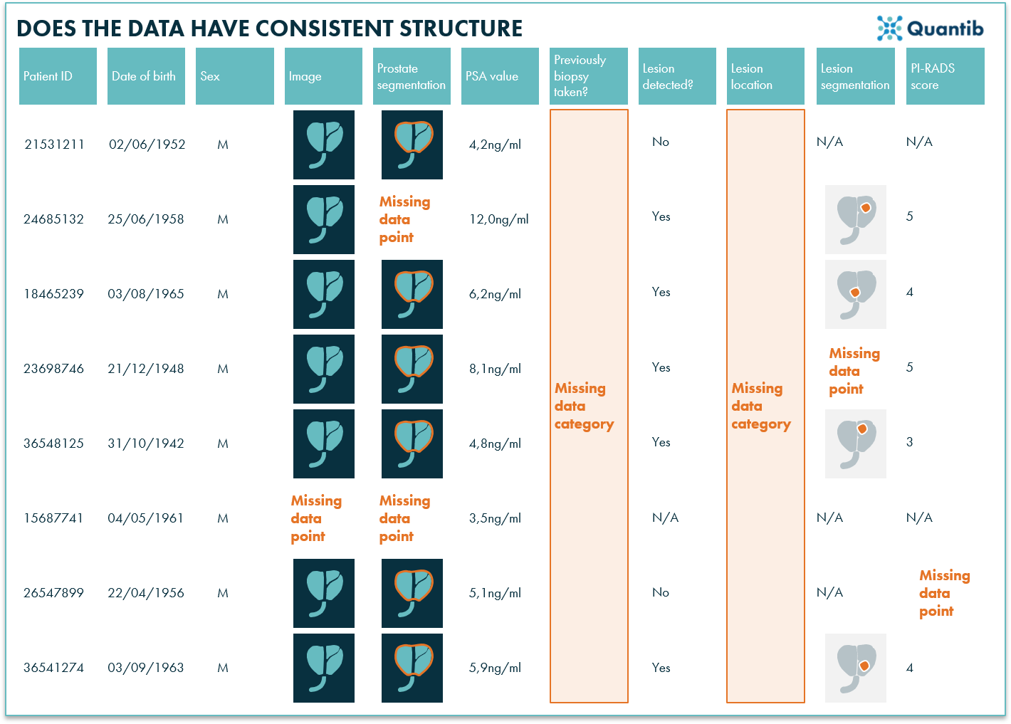 Infographic of an example of a structured AI radiology dataset