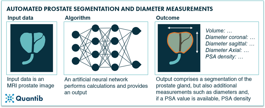 AI in prostate oncology - figure 10