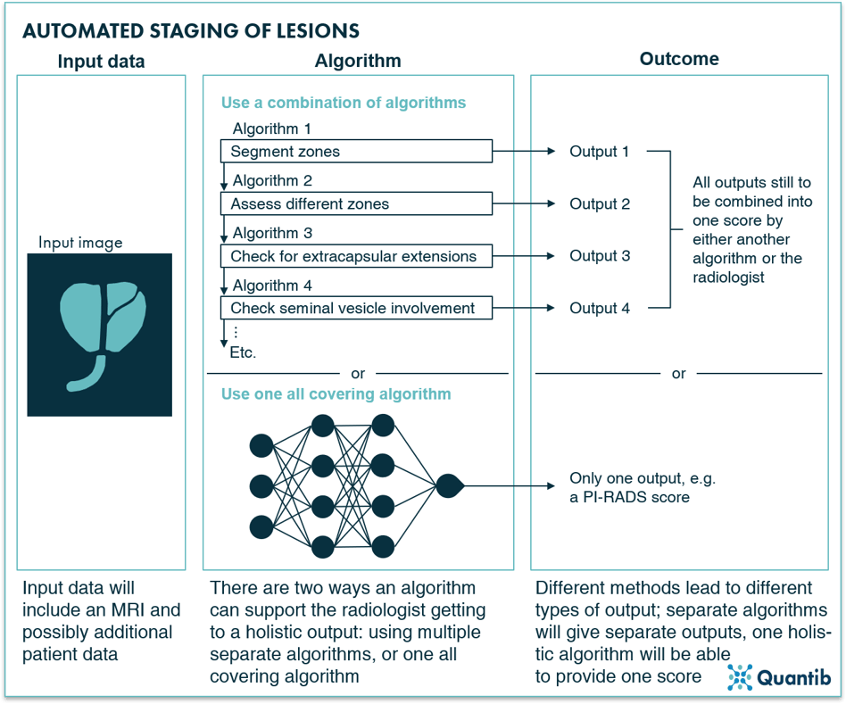 AI in prostate oncology - figure 13-1