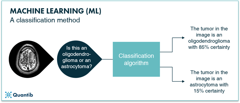 Infographic explaning a machine learning classification method using a brain MRI as an example